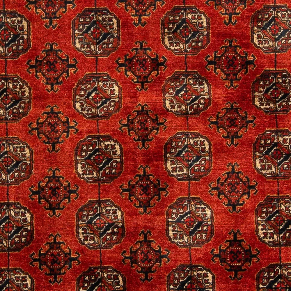Afgański dywan - Bukhara - 199 x 124 cm - ciemna czerwień