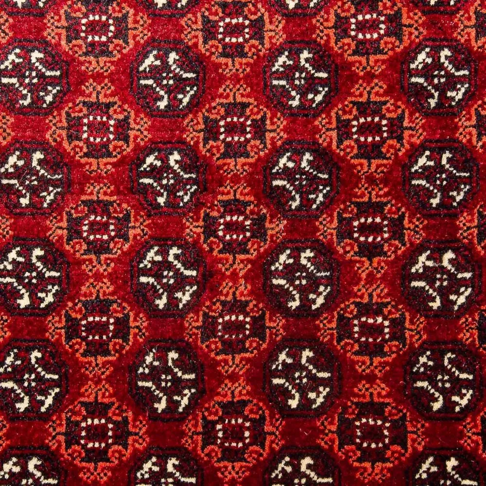 Afgański dywan - Bukhara - 293 x 201 cm - czerwony