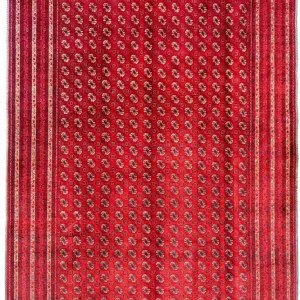 Afgański dywan - Bukhara - 300 x 195 cm - czerwony
