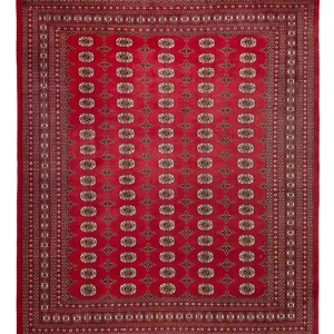 Afgański dywan - Bukhara - 309 x 248 cm - czerwony