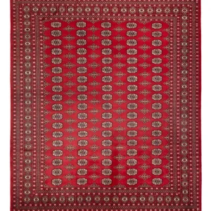 Afgański dywan - Bukhara - 312 x 244 cm - czerwony