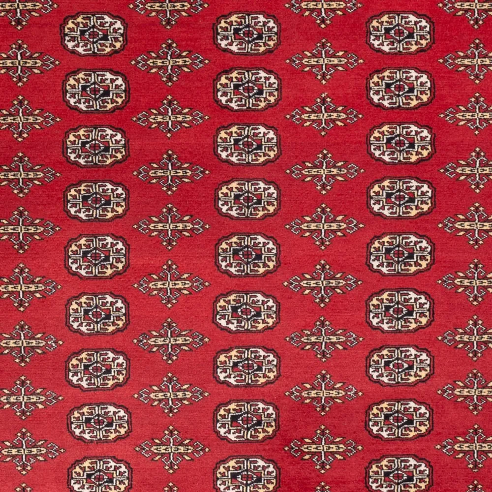Afgański dywan - Bukhara - 312 x 244 cm - czerwony