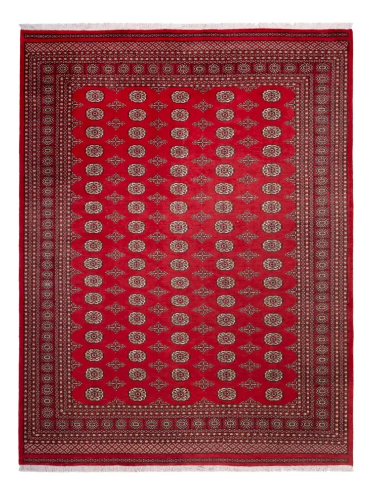 Afgański dywan - Bukhara - 321 x 247 cm - czerwony