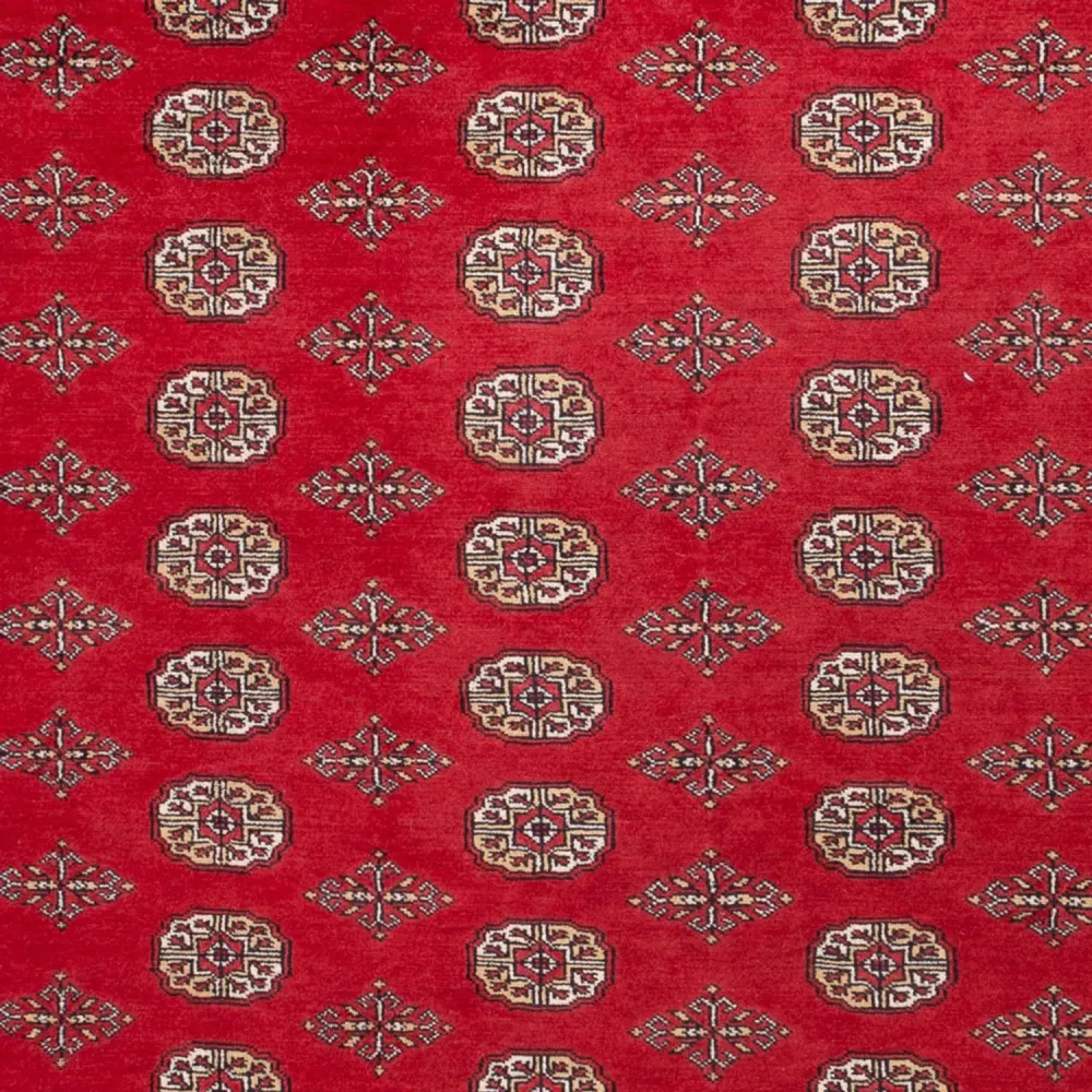 Afgański dywan - Bukhara - 321 x 247 cm - czerwony