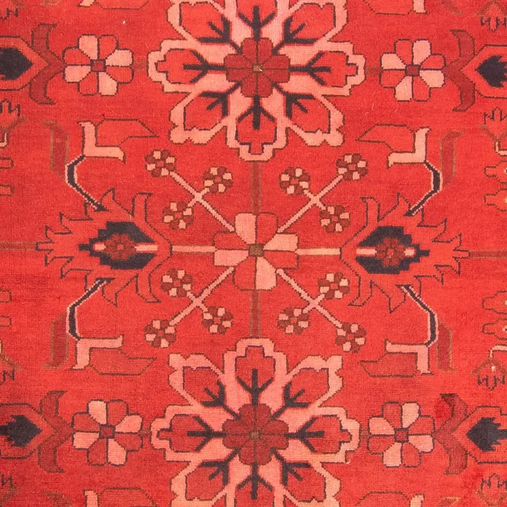 Afgański dywan - Hatshlu - 296 x 210 cm - ciemna czerwień