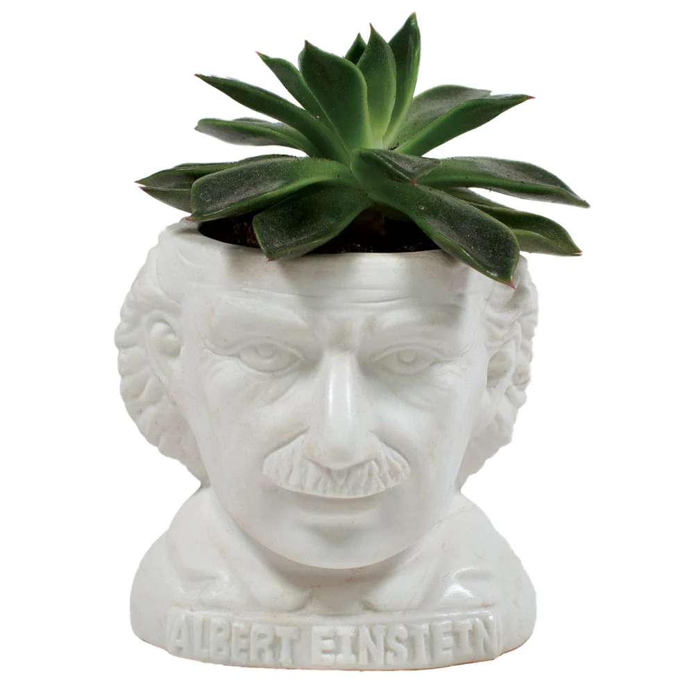 Albert Einstein Sadza