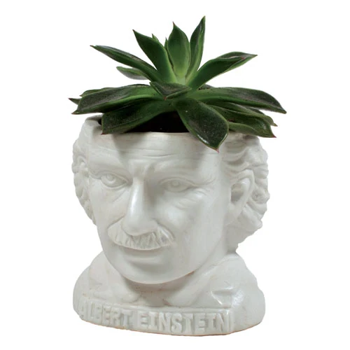 Albert Einstein Sadza
