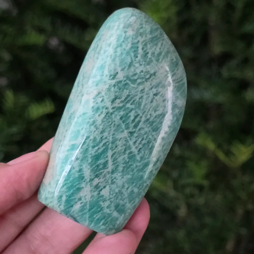 Amazonic Structure Form Form M11