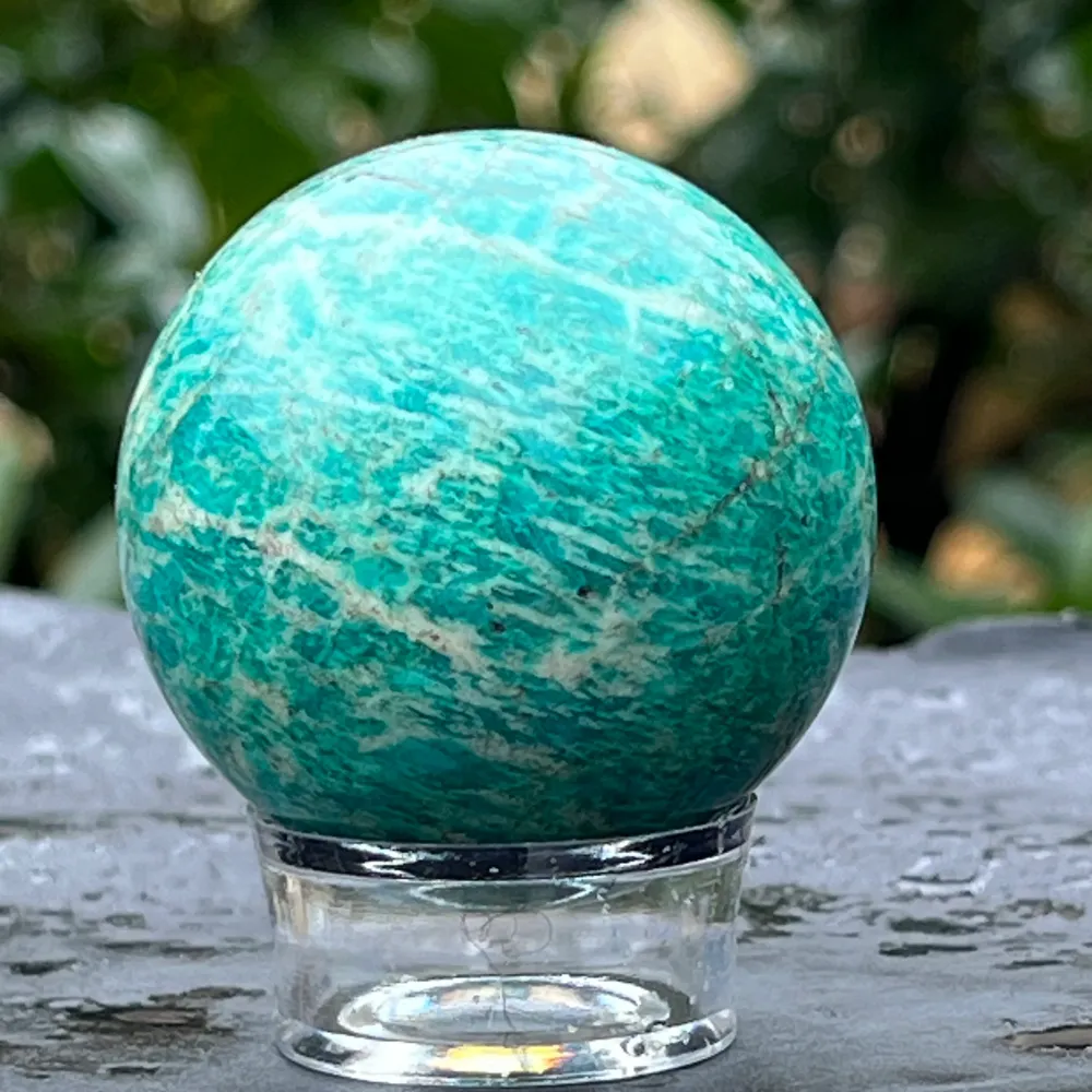 Amazoniczna sfera Madagaskaru Model 5