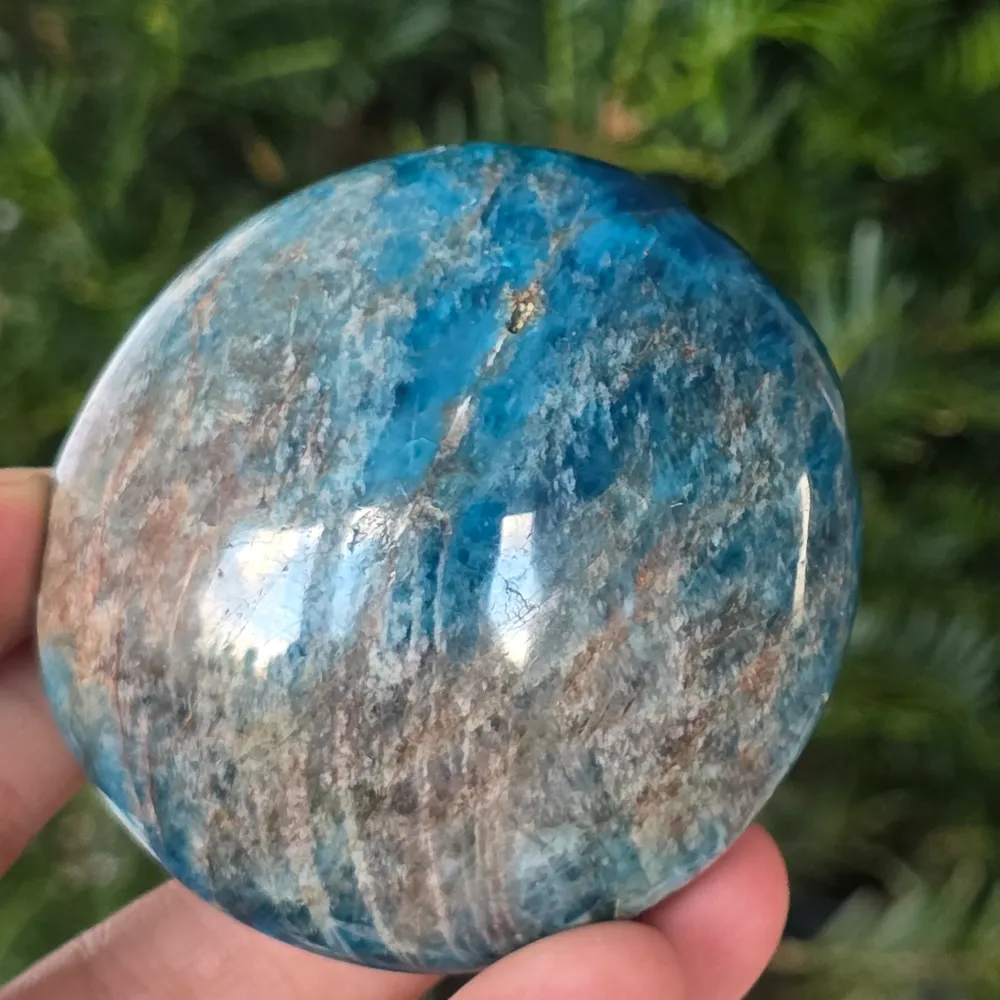 Apatit Roll Palmstone | Model 17