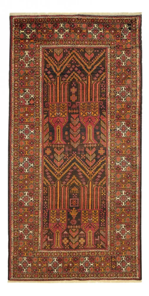 Biegacz Dywan beludżycki - 211 x 102 cm - wielokolorowy