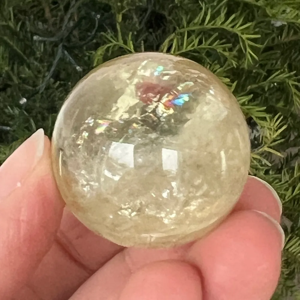Brazylijska kula cytrynowa, model jakości AAA 6