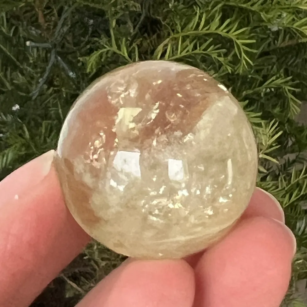 Brazylijska kula cytrynowa, model jakości AAA 6