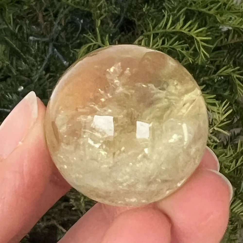 Brazylijska kula cytrynowa, model jakości AAA 6