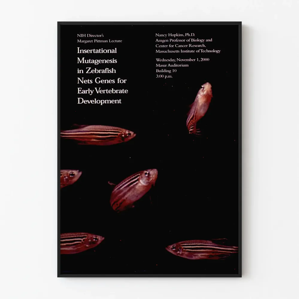 Dekoracyjny plakat naukowy z rybami zebrami i tekstem o mutagenezie