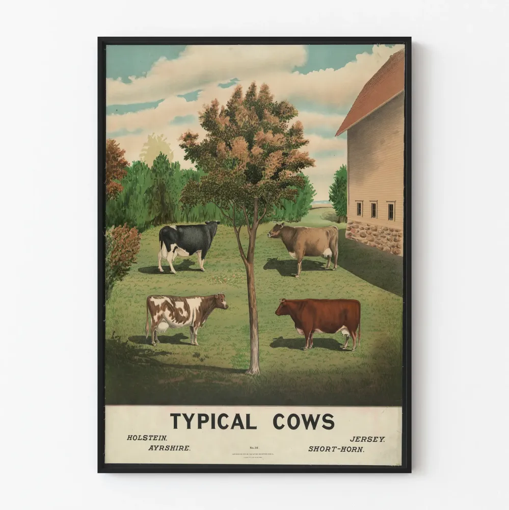 Dekoracyjny plakat vintage z typowymi krowami do dekoracji ścian