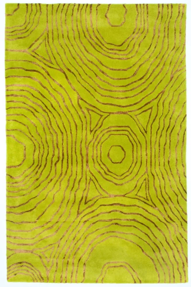 Designerski dywan - 241 x 152 cm - jasnozielony