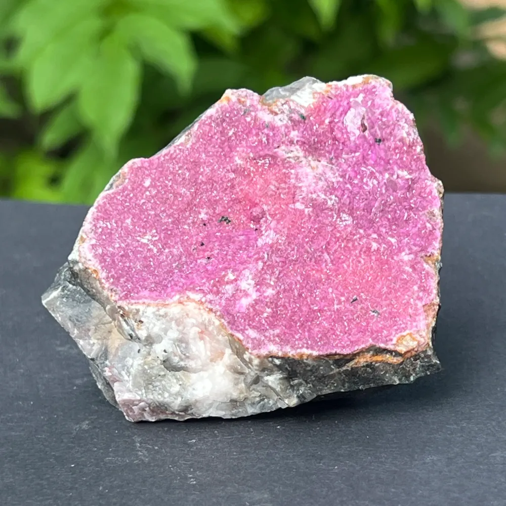 Dolomite różowy kamień Salrose Brute M5