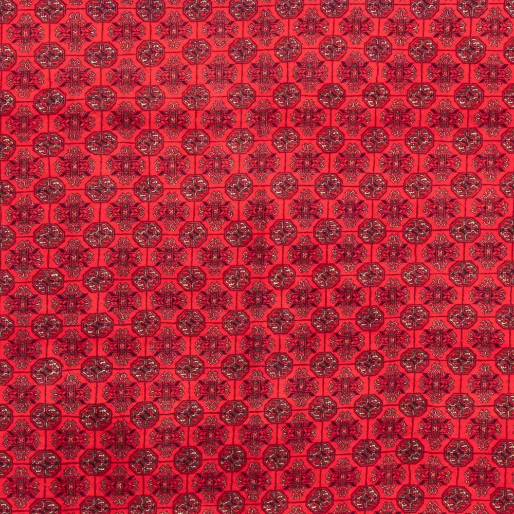 Dywan afgański - 289 x 200 cm - czerwony