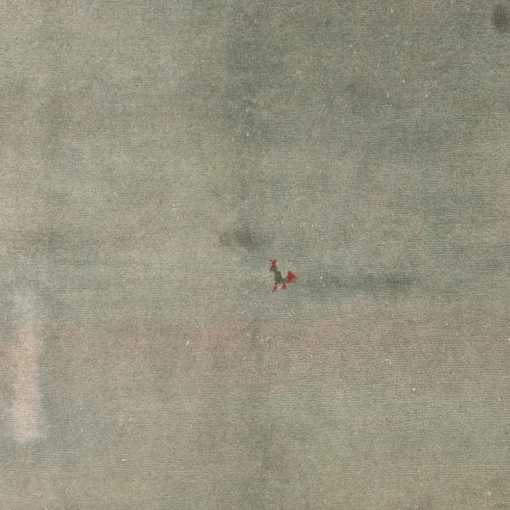 Dywan Gabbeh - Indus - 230 x 170 cm - zielona