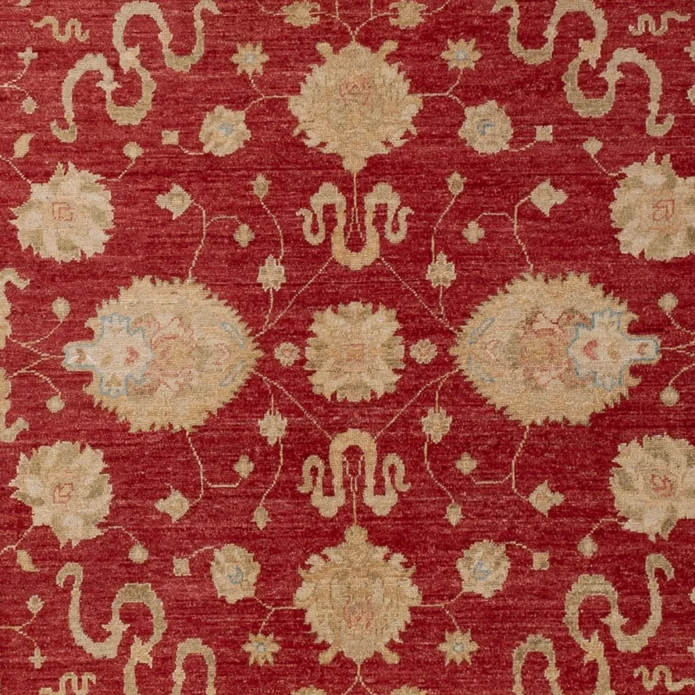 Dywan Zieglera - 297 x 203 cm - czerwony