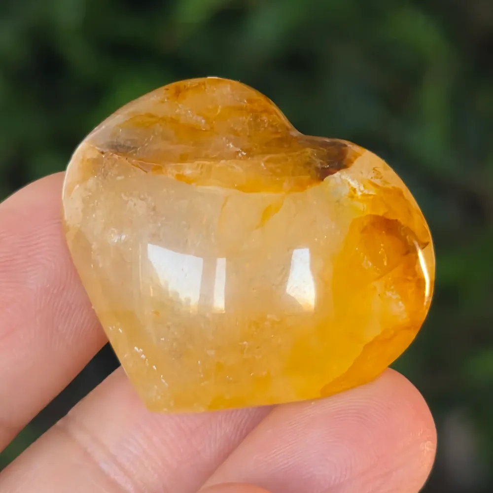 Heart Golden Healer, cytrynowy model cytrynowy Mini3