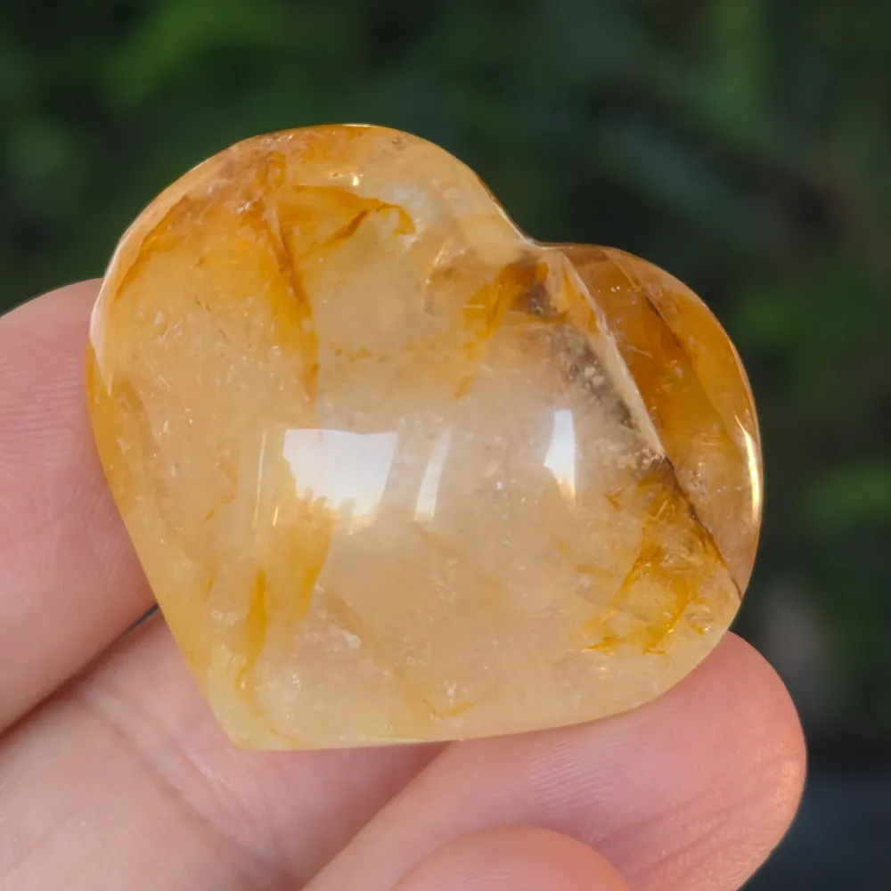 Heart Golden Healer, cytrynowy model cytrynowy Mini3