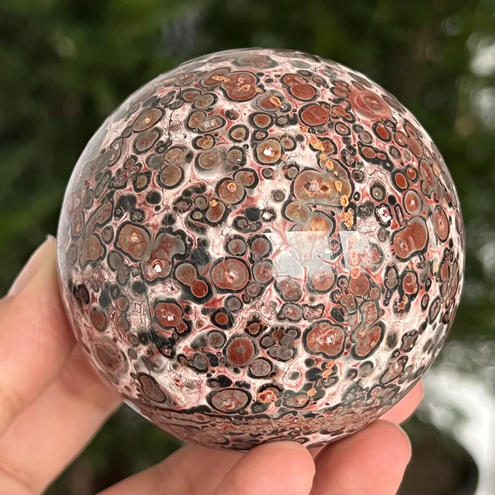 Jasper Sphere Snakeskin z Australii Model 7
