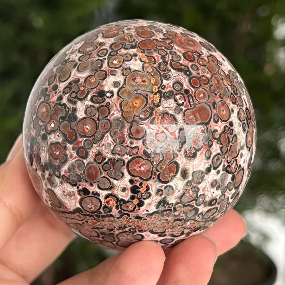 Jasper Sphere Snakeskin z Australii Model 7