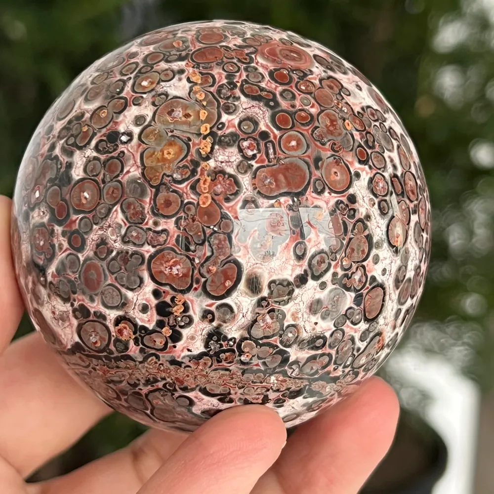 Jasper Sphere Snakeskin z Australii Model 7