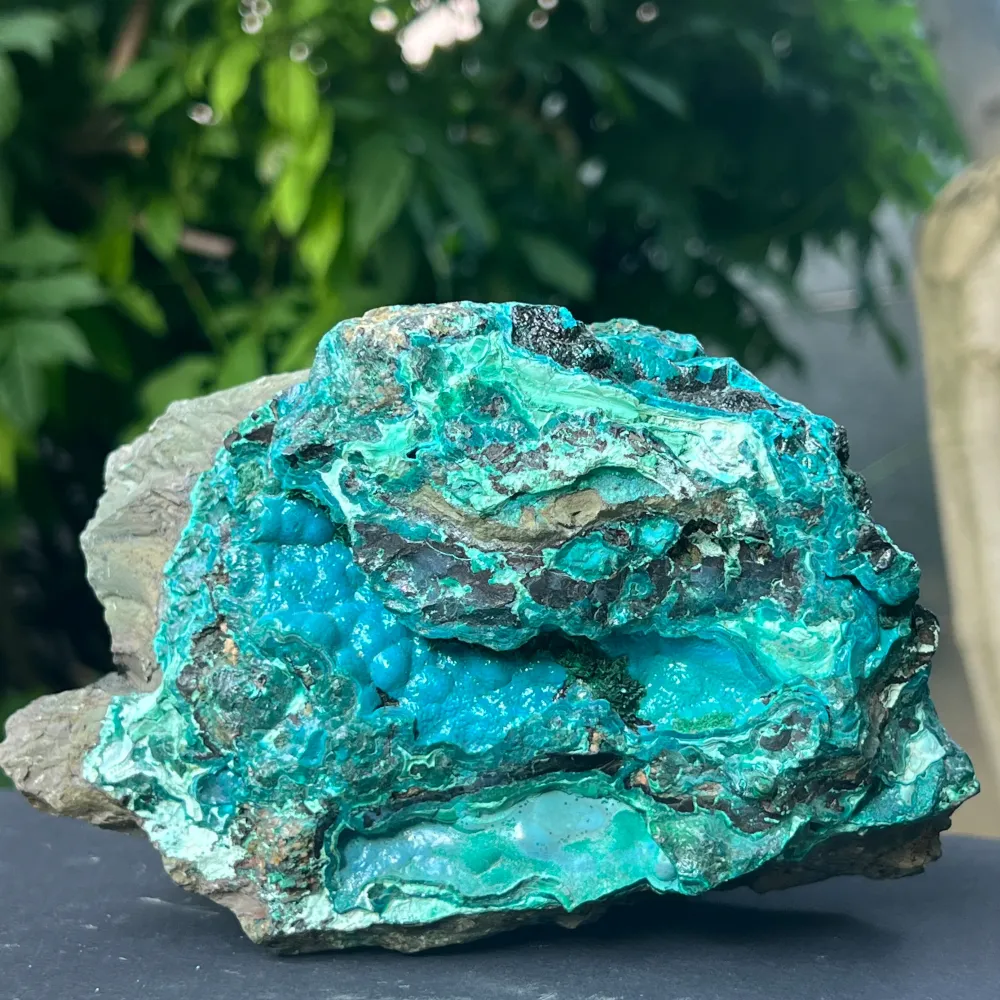 Klaster XL Botrioidal Bottocola Brust Model 3