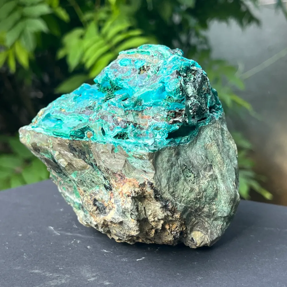 Klaster XL Botrioidal Bottocola Brust Model 3
