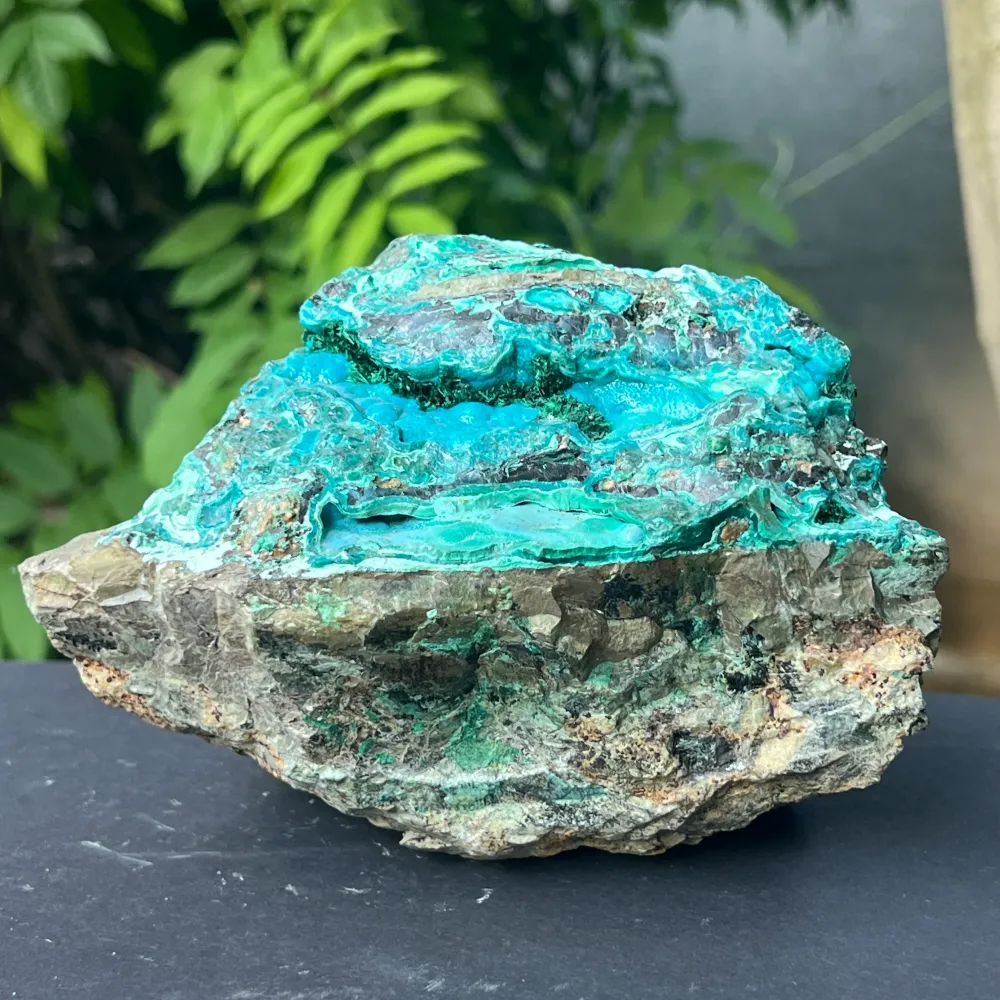 Klaster XL Botrioidal Bottocola Brust Model 3