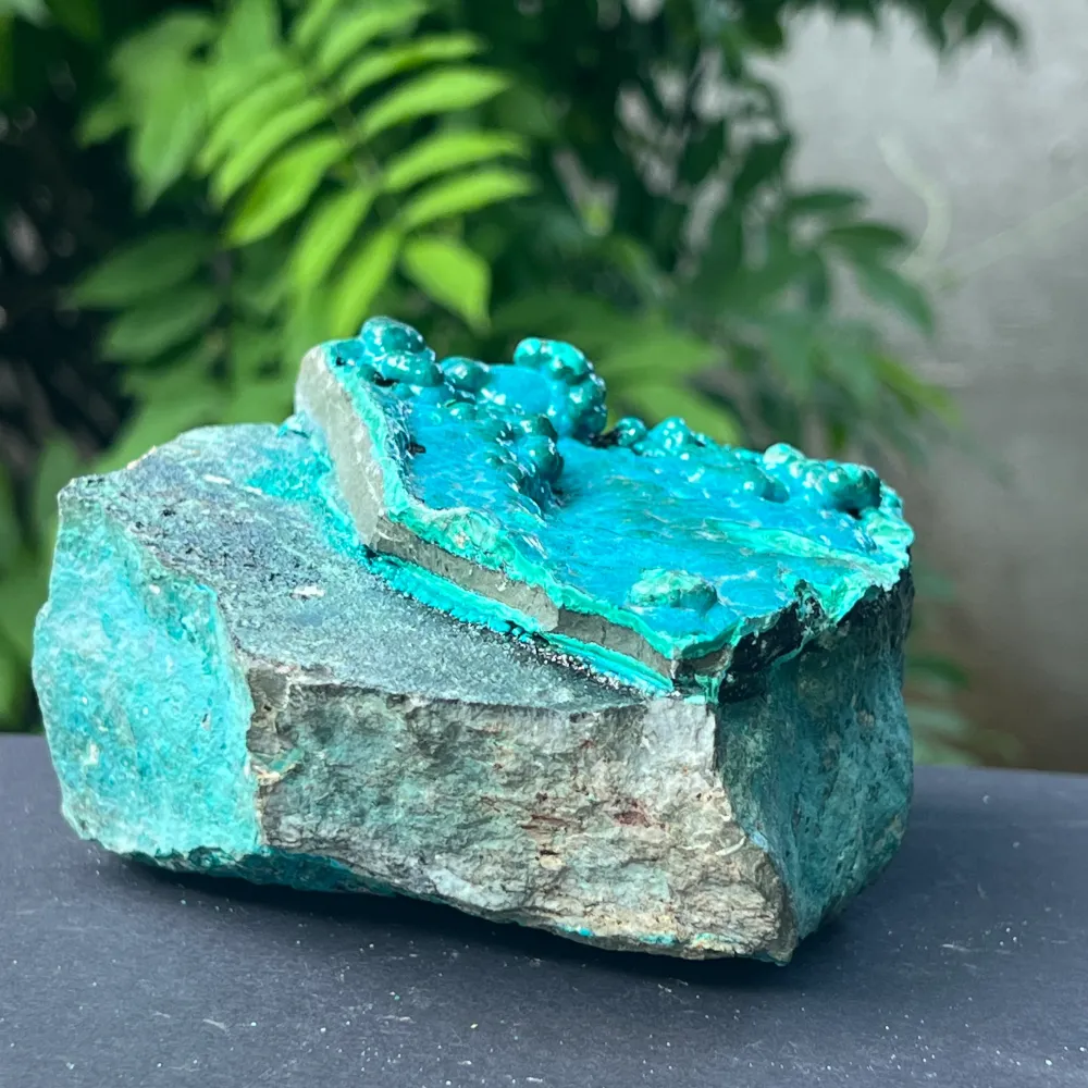 Klaster XL Botrioidal CrisoCola Brute Stone Model 2
