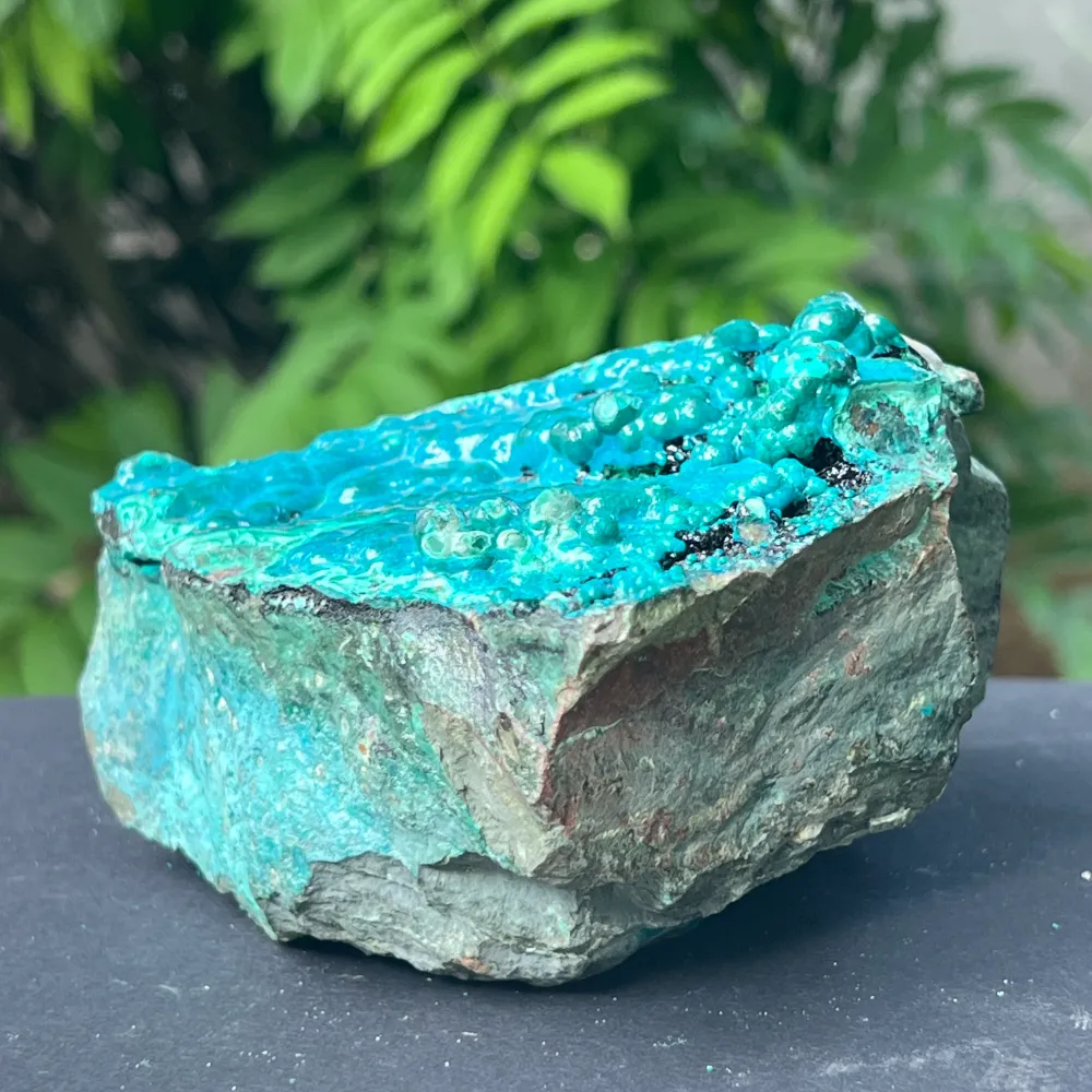 Klaster XL Botrioidal CrisoCola Brute Stone Model 2