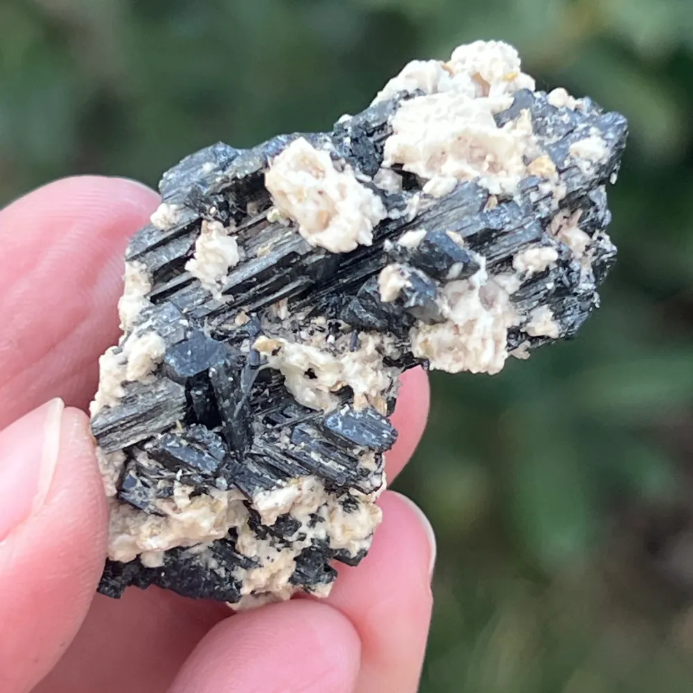 Klaster czarnego turmalinu z wermikulitem od Erongo m12