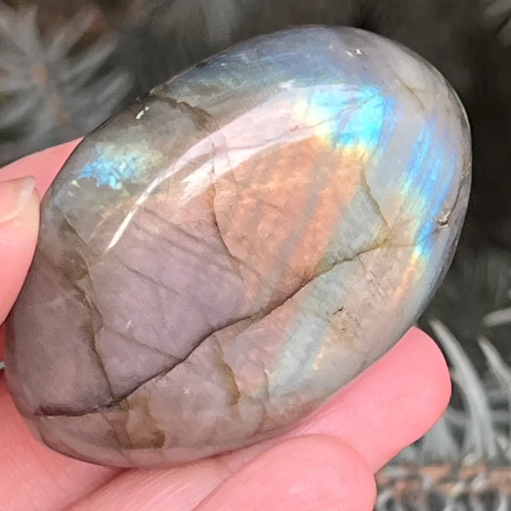 Labraudorit Palm Stone M6