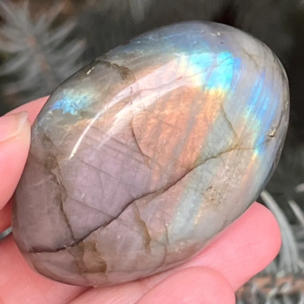 Labraudorit Palm Stone M6