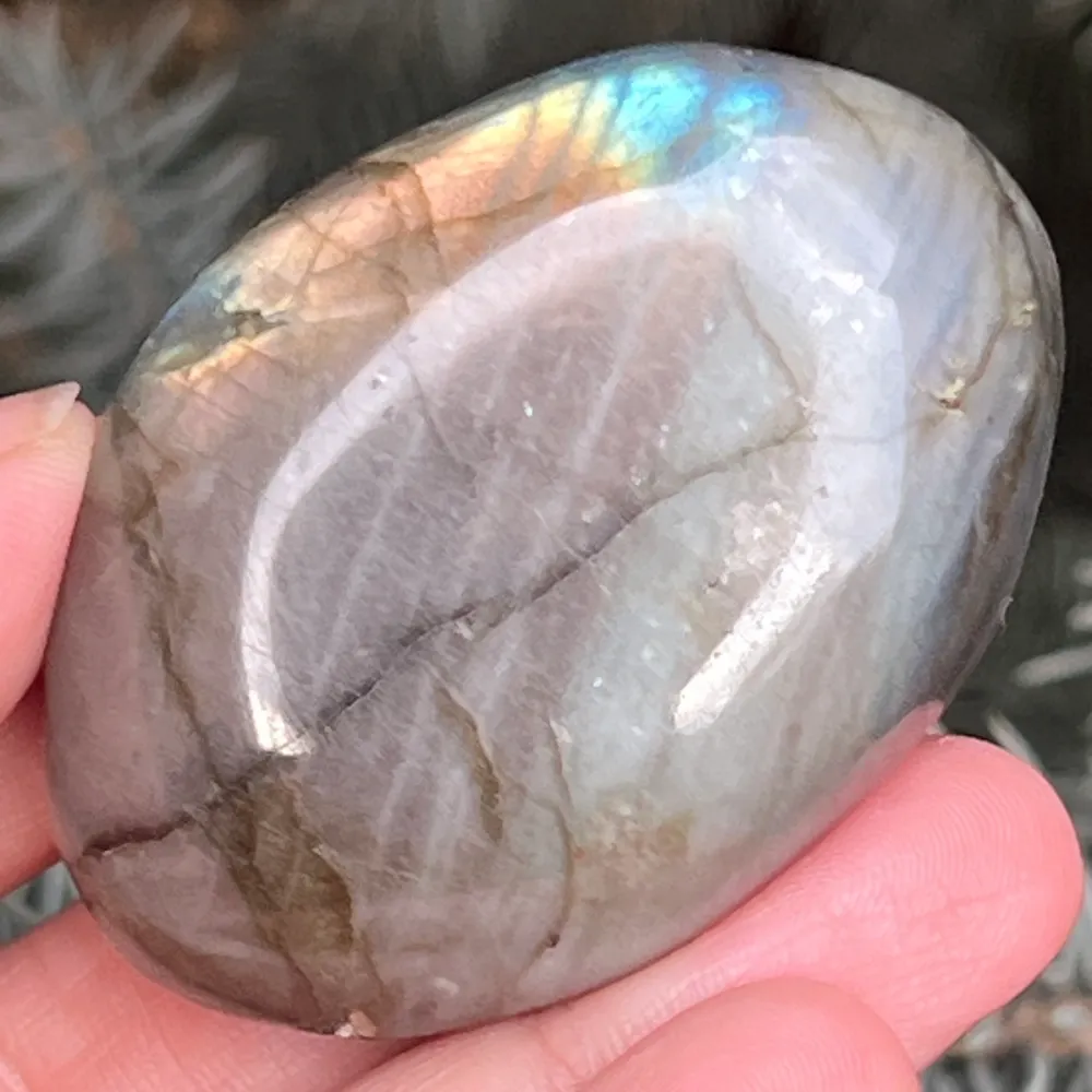 Labraudorit Palm Stone M6