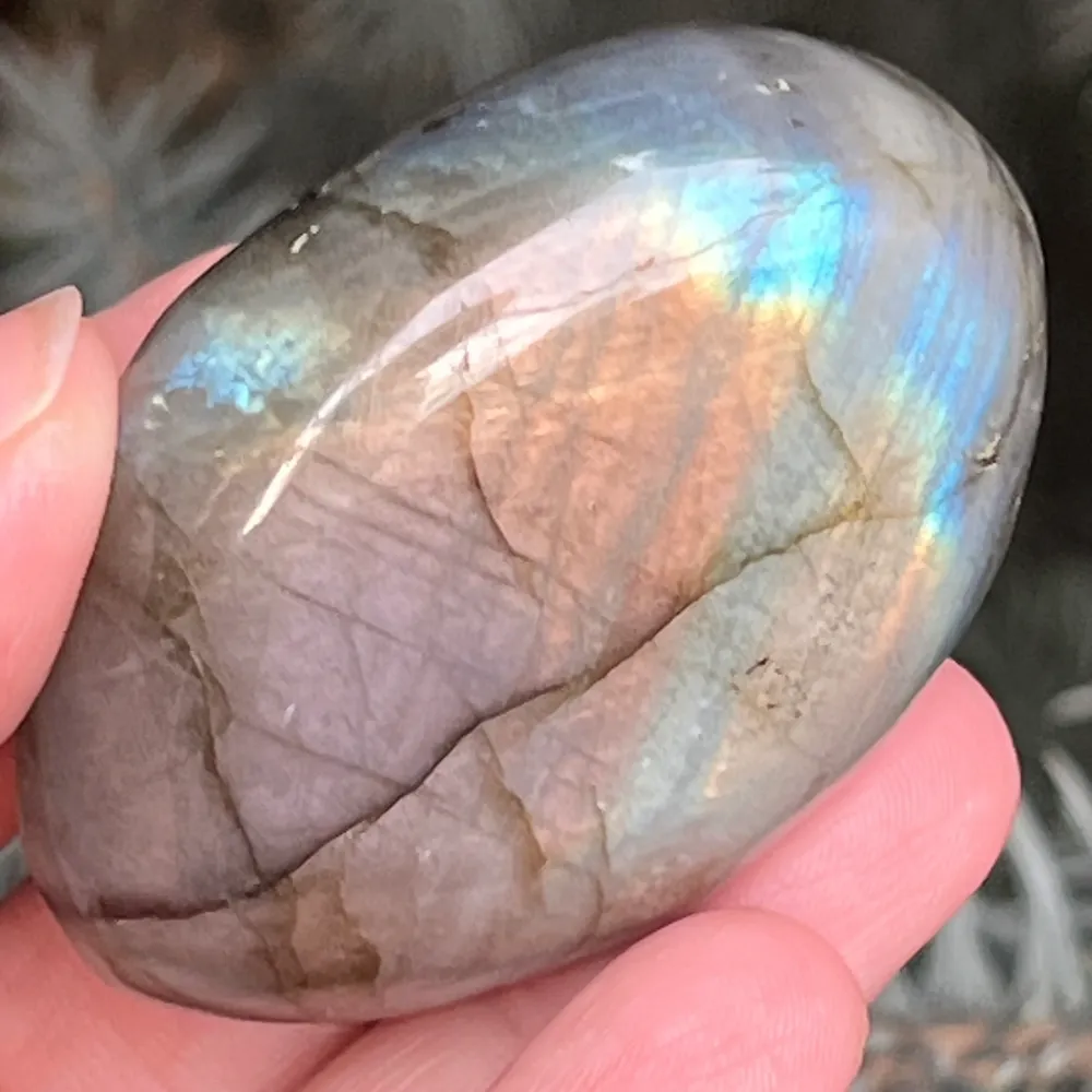 Labraudorit Palm Stone M6