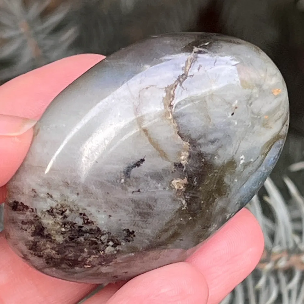 Labraudorit Palm Stone M6