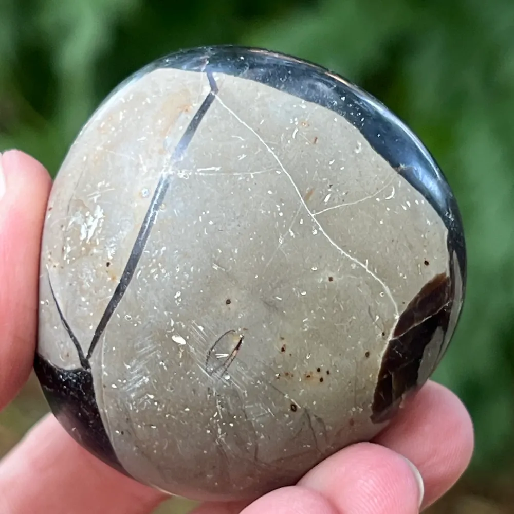 Madagaskar Septaria mini jajko, smocza skał, wzór 2