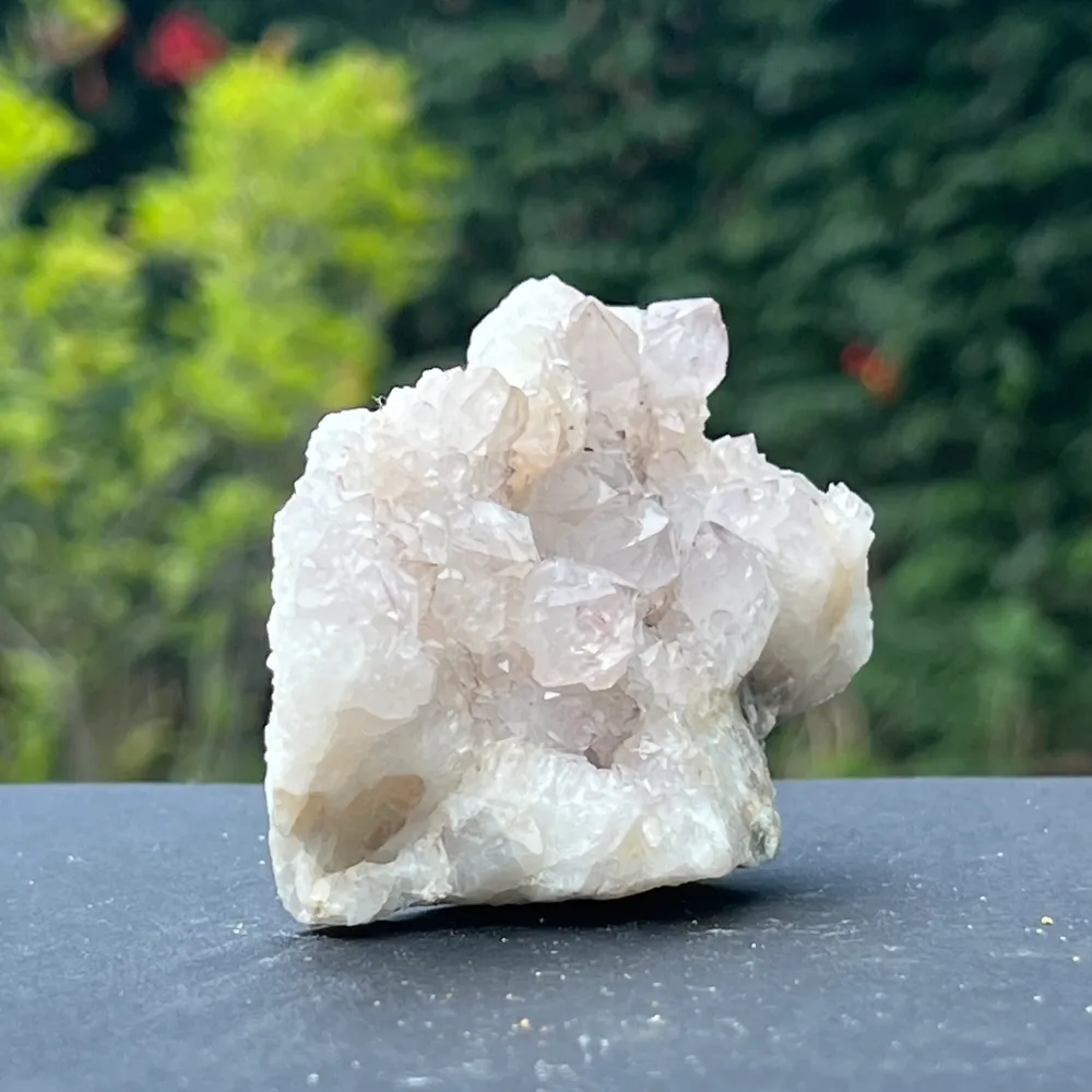 Model Kaktusa Kwarcu Kwarcu Klasterowego / Duchowego 8