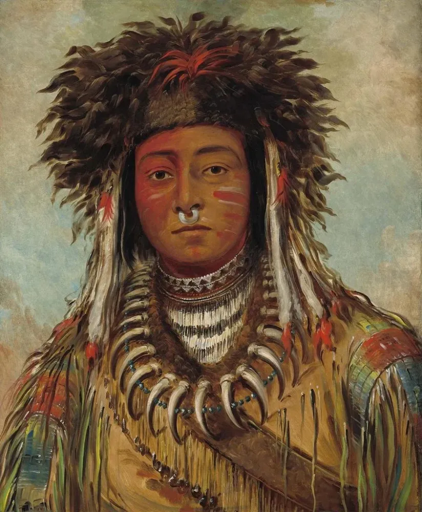 Obraz Chłopiec szef Ojibwé - George Catlin | Druk artystyczny
