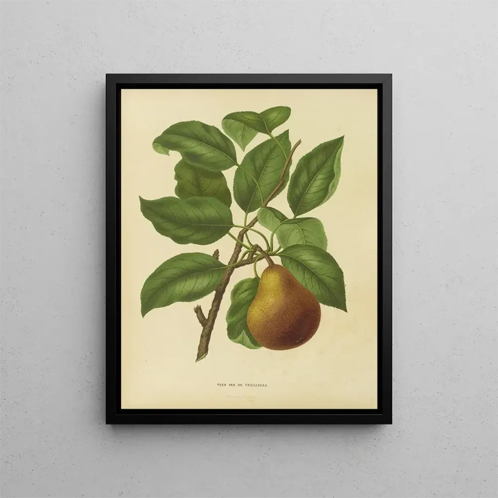 Obraz Flore hollandaise et Pomone PL37 - Abraham Jacobus Wendel | Druk artystyczny