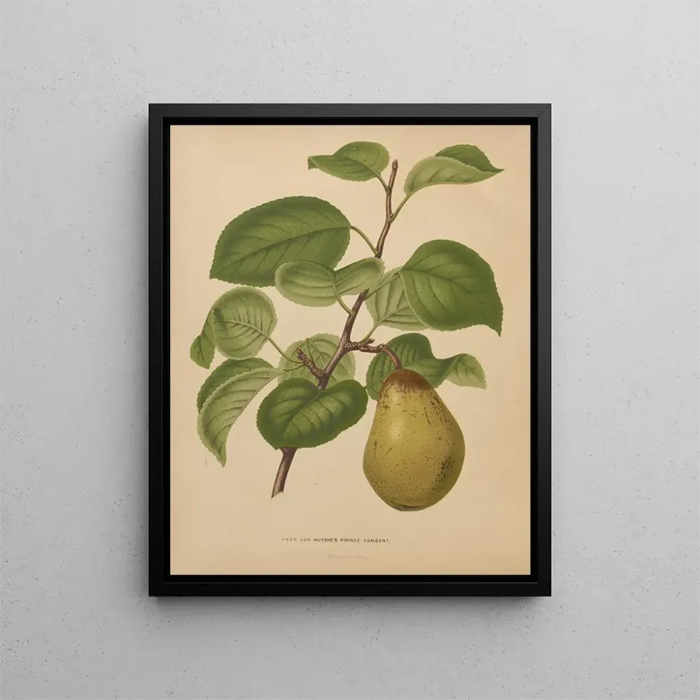 Obraz Flore hollandaise et Pomone PL55 - Abraham Jacobus Wendel | Druk artystyczny