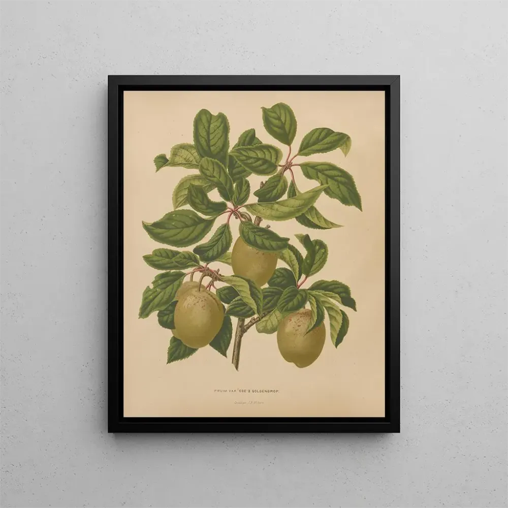 Obraz Flore hollandaise et Pomone PL57 - Abraham Jacobus Wendel | Druk artystyczny