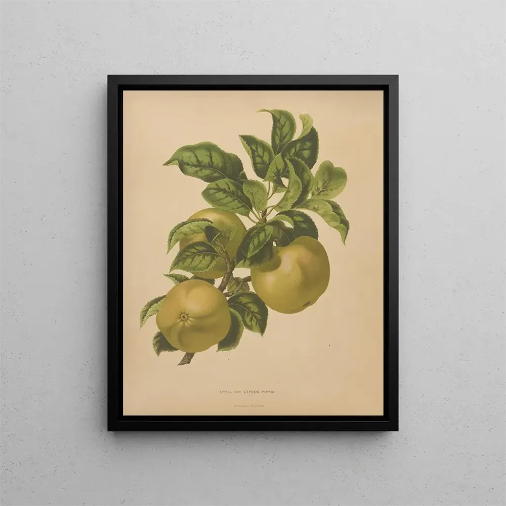 Obraz Flore hollandaise et Pomone PL67 - Abraham Jacobus Wendel | Druk artystyczny