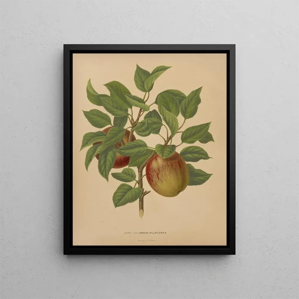 Obraz Flore hollandaise et Pomone PL75 - Abraham Jacobus Wendel | Druk artystyczny