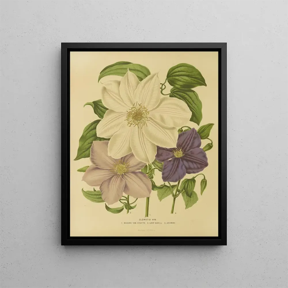 Obraz Holenderska flora i Pomona Pl. 12 - Abraham Jacobus Wendel